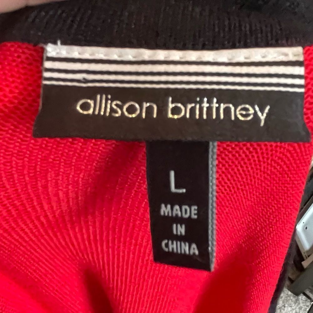 Allison Brittney Red Dress - Picture 6 of 7